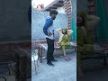 गुंजन शर्मा न्यू कॉमेडी 2025  🤣#shorts #amarbabaharyanvi  #gunjansharma