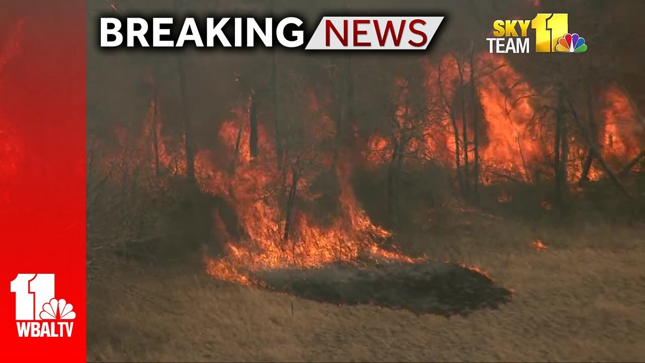Breaking: Brush fire spreading in Baltimore County - YouTube