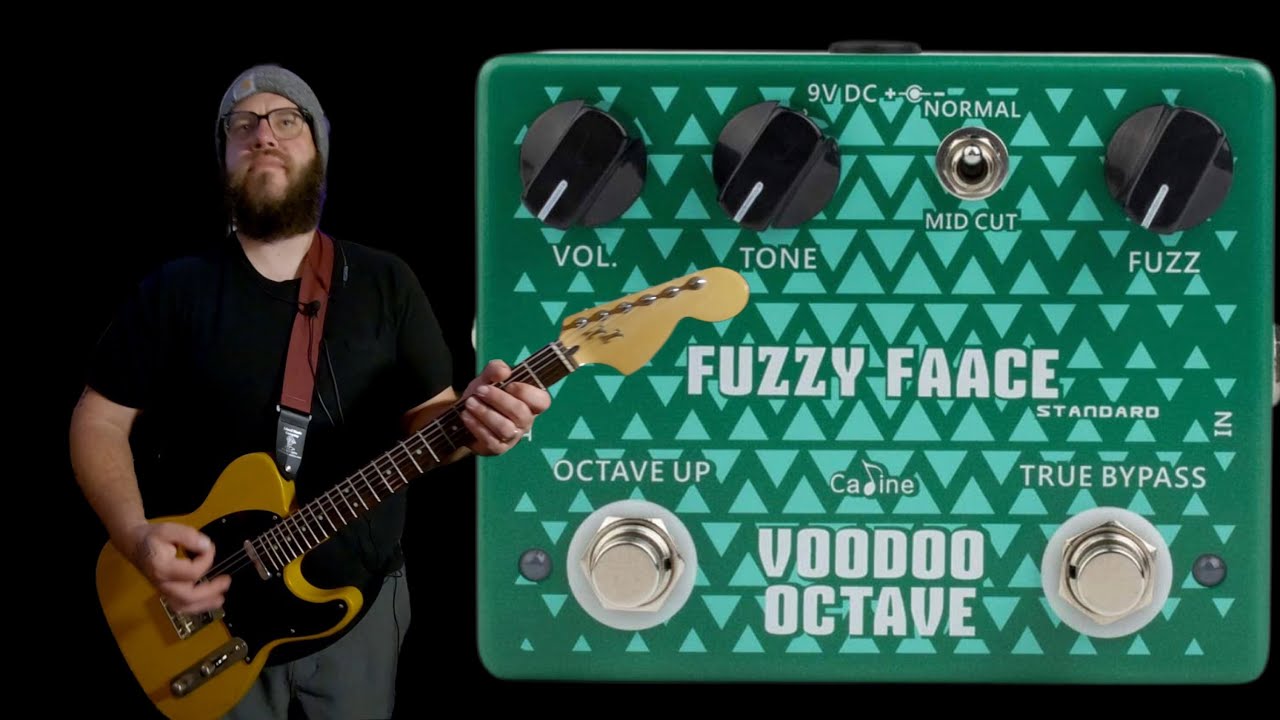 VOODOO OCTAVE FUZZY FACE　エフェクター Caline Fuzzy Face Voodoo Octave Pedal - YouTube
