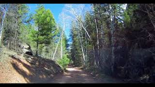 Hotel Gulch - Woodland Park, Colorado (Teller County) - May 2020