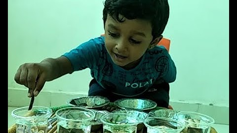 Study of Dissolving/Non-Dissolving Substances at Home