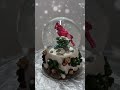 Red Cardinal Snowglobe Water Change
