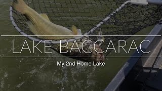 What lake to pick Baccarac, El Salto or Picachos to go Bass Fishing at in Mexico