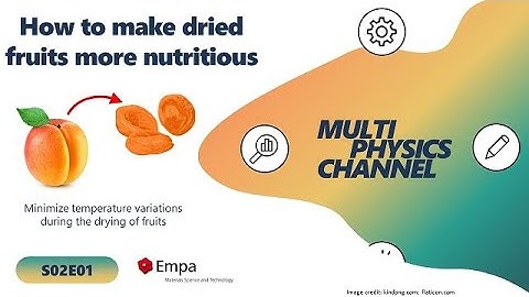 Multiphysics Channel: How to make dried fruits more nutritious (S02E01)