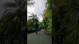 Things you should see in Hamilton   Part 01