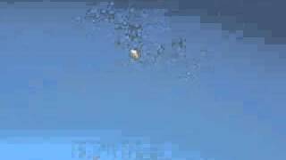 DSCF2351