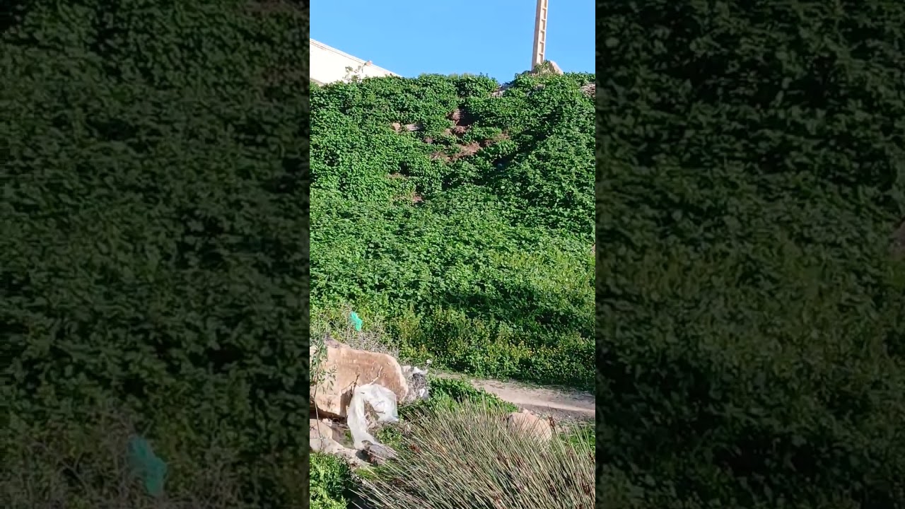 22 فبراير 2026