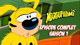 Farces et Fourrures dans la Jungle Couronnée | EPISODE COMPLET 15-16 | Marsupilami en Français