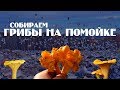 КТО ВЫБРАСЫВАЕТ МУСОР В ЛЕСУ? ЭТО ЖЕСТЬ!!! Экологические проблемы