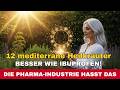 Diese 12 Kräuter sind besser als Ibuprofen!
