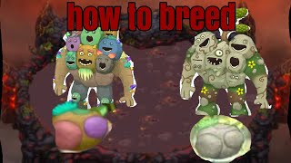how to breed rare and epic quarrister :msm