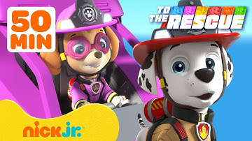 Paw Patrol | [VIDEO TITLE] | Nick Jr. en Español