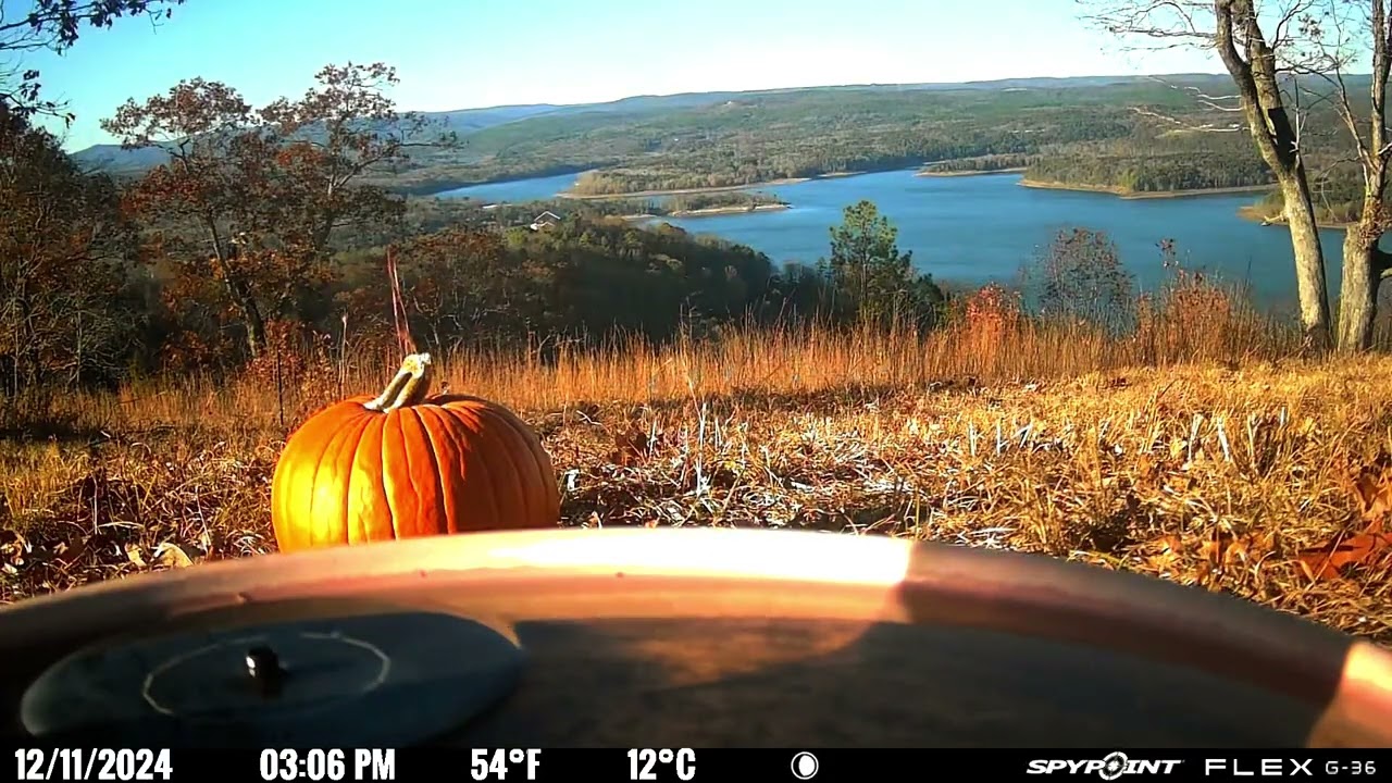 The APieceofPeace 2.0 Pumpkin Challenge Commences! Let the Games Begin! 😀 Like Subscribe 