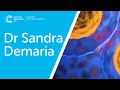 Radiotherapyinduced in situ immunization  interview with dr sandra demaria