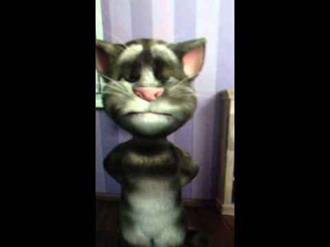 Video Con mèo thông minh - youtube