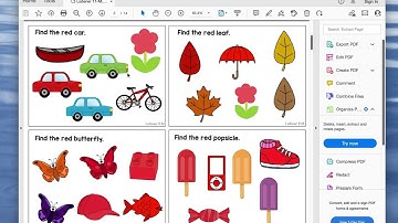 Product Preview - VB-MAPP Task Cards Listener Responding Level 3