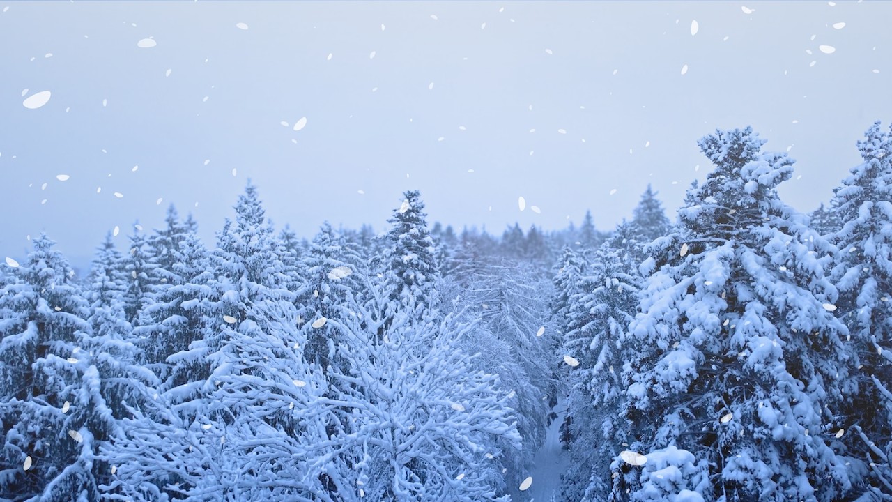 Flug während des Schneefalls | DJI Mini 4K