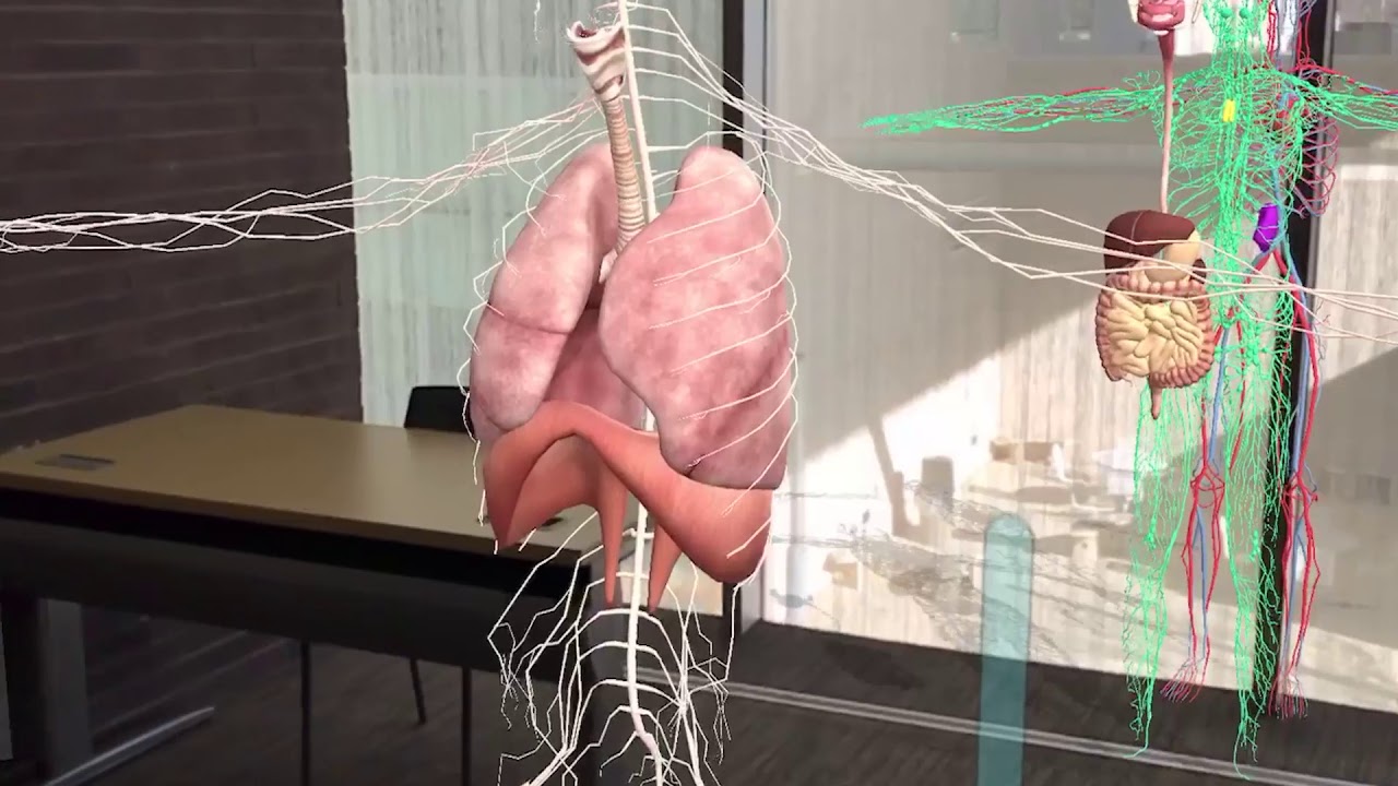Anatomy 4d App YouTube anatomy-4d-app-youtube