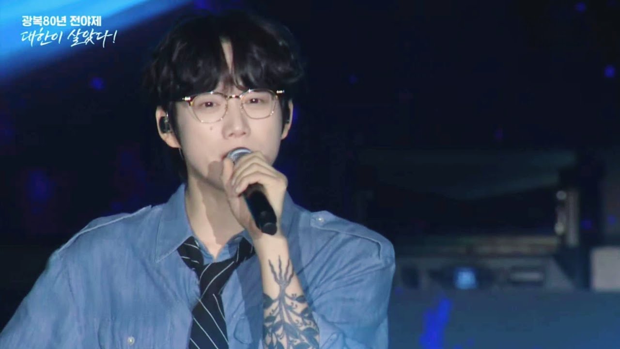 250814 광복 80년 전야제 - 대한이 살았다! LIVE 10CM (십센치) CUT @국회의사당 잔디마당