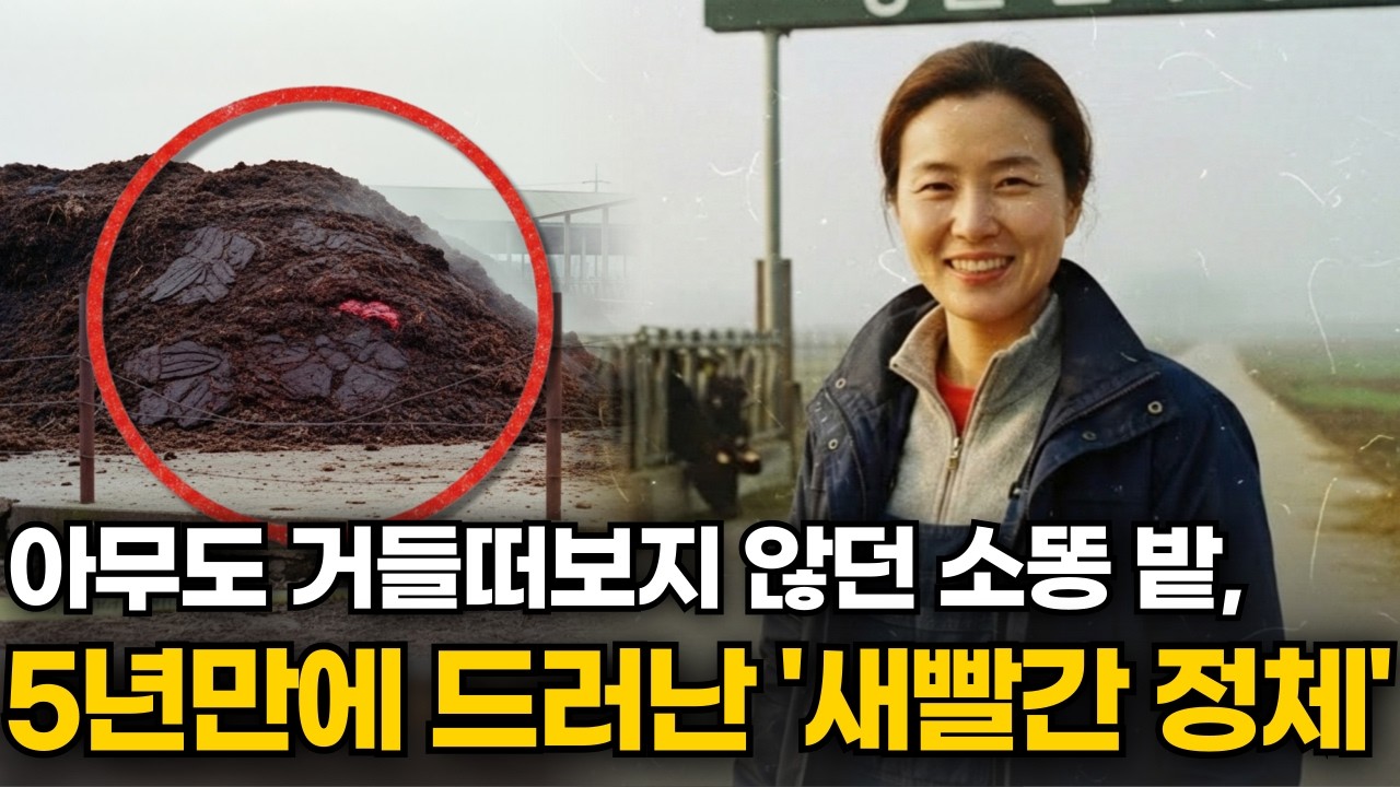 2002년 횡성 한우농장 여사장 실종… 범인이 5년간 소똥 밭을 미친 듯이 지킨 소름 돋는 이유