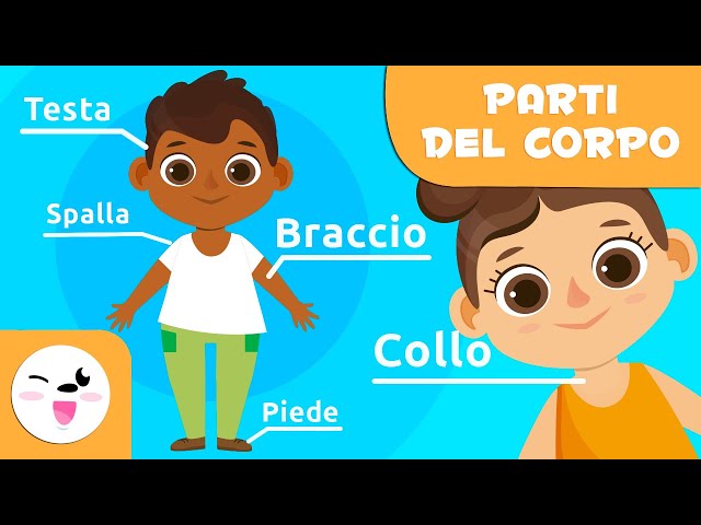 Le parti del corpo umano per bambini