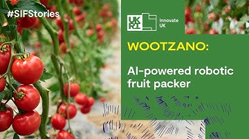 Wootzano - AI-powered robotic fruit packer #SIFStories
