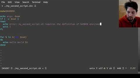 Shell environment variables, env, export, unset