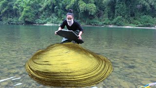 Rescuing a century old golden clam under the slate, I have harvested an amazing treasure of pearls