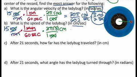 Ladybug on Record - Angular and Linear Velocity Application