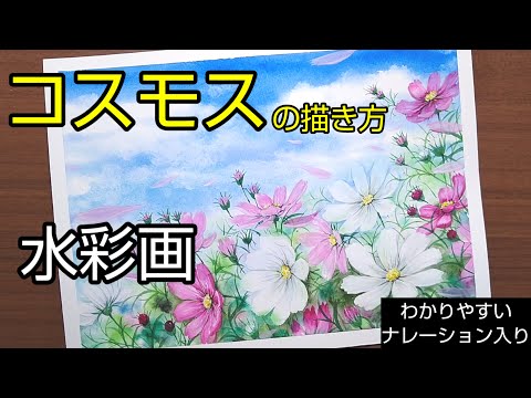 透明水彩画原画風に揺れるコスモスたち コスモス — Artmeter™