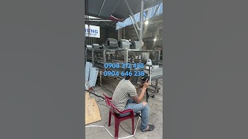 Máy rửa Sầu Riêng , Trái cây tự động - Băng tải rửa Mít, Sầu Riêng siêu sạch