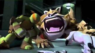 Turtles Cant Touch This
