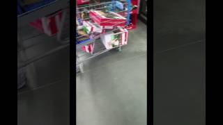 Bear prank gone wrong