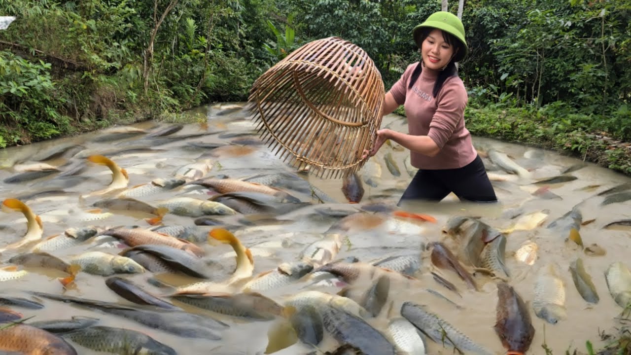 Single mother helps her mother catch 30kg of fish from the pond and ...