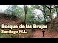 El Bosque de las Brujas en el Barrial, Santiago Nuevo León.