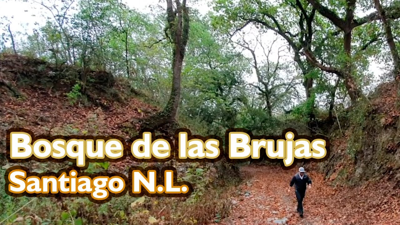 El Bosque de las Brujas en el Barrial, Santiago Nuevo León. YouTube