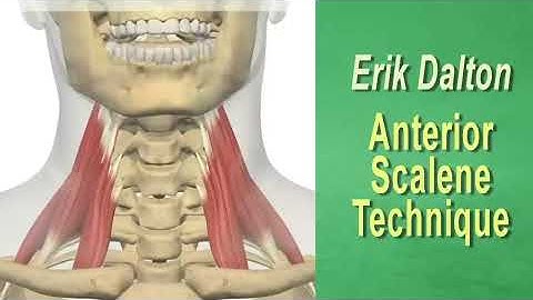 Try This Deep Tissue Myofascial Release for Anterior Scalenes
