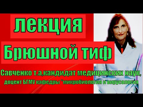 Брюшной тиф.Брюшной тиф- лекция по микробиологии.