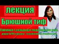 Брюшной тиф.Брюшной тиф- лекция по микробиологии.