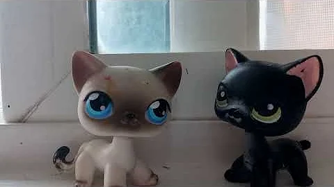 New lps couples   one of them has a story to them