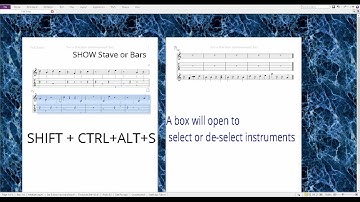 Hide/Show staves instrument Sibelius