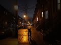 Dog Turns Off the City Lights