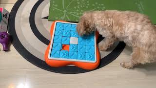 Outward Hound Nina Ottosson Challenge Slider screenshot 1