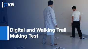 Digital and Walking Trail Making Test: Brand-new Assessment Tools | Protocol Preview