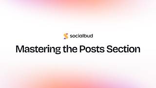 Mastering the Posts Section | Socialbud Guide