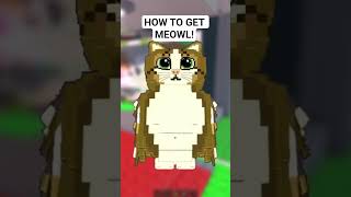 How to get the new OG Meowl in roblox steal a brainrot! #roblox #stealabrainrot #robloxshorts
