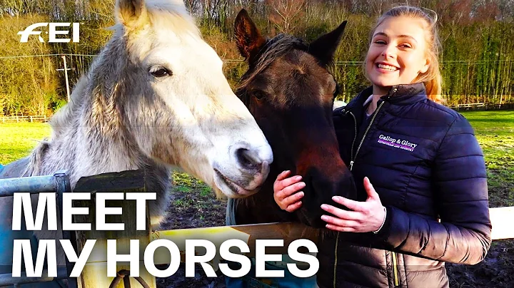 Horse Yard Tour - w/ Meg Elphick | Guest Vlog