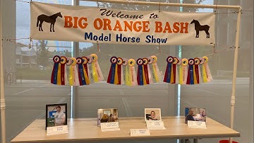 Big Orange Bash Model Horse Show Part One🧡✨