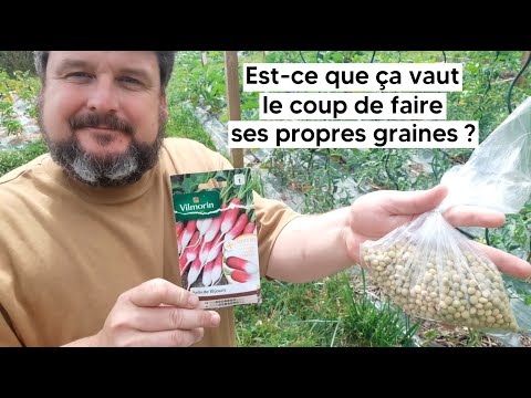 Vidéo: Pouvez-vous manger des cosses de graines de radis ? En savoir plus sur les graines de radis comestibles