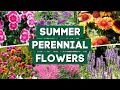 10  Perennial Flowers That Bloom All Summer! 🌿  // PlantDo Home & Garden